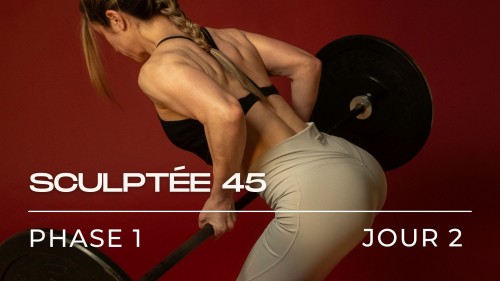 Programme HOT MOM Sculptée en 45, Phase 1 (Semaine 1-4), Jour 2 Pull Haut du corps